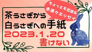 茶うさぎから白うさぎへの手紙 2023「20. 書けない」