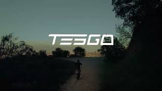 Tesgo HUM | Amazing Powerful Folding Fat Tire Electric Bike