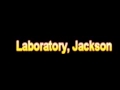 What Is The Definition Of Laboratory, Jackson - Medical Dictionary Free Online Terms