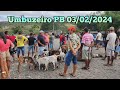 Feira de animais de Umbuzeiro PB 03/02/2024