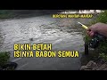 Sensasinya sudah terbukti!! Mancing wader pakai tegek Yehang Super 360 bendingannya mantap