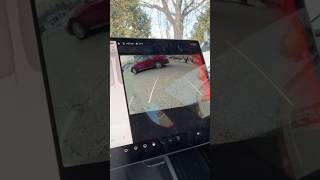 Tesla Update 2025.2  Rear Cross-Traffic Chime