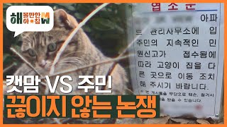 [해 볼만한 아침 M\u0026W] 캣맘 VS 주민 '끊이지 않는 논쟁' KBS 230307 방송