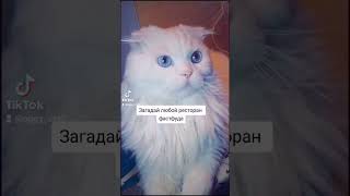 Загадай любой ресторан фастфуда😺 угадал? #shorts