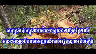 សកម្មជនថាកម្ពុជាបរាជ័យទប់ស្កាត់បទល្មើសព្រៃឈើខណៈចំណូលពីការនាំចេញរបស់វៀតណាមកើនឡើង