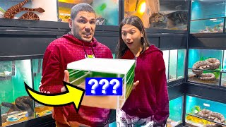 We're Finally Getting Another PET!!? *Surprise* | Familia Diamond