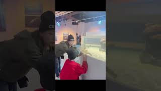 アクアリウムとアートが融合した新感覚の都市型水族館🐠 神戸ポートミュージアム\