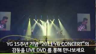 15th Anniv. 2011 YG FAMILY CONCERT LIVE DVD_Spot