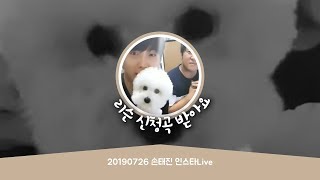 20190726 손태진 인스타Live | 리슨 신청곡 받아요 | 무챗