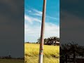 Paddy field [ Sekinchan ] Countryside