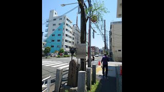 【さんぽ】鶯谷駅～金美館通り～吉原大門