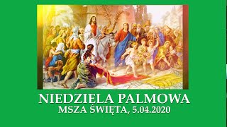 NIEDZIELA PALMOWA - MSZA ŚWIĘTA, 5.04.2020, NMP BOLESNEJ WROCŁAW-STRACHOCIN