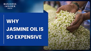 Why Jasmine Oil Is So Expensive | So Expensive