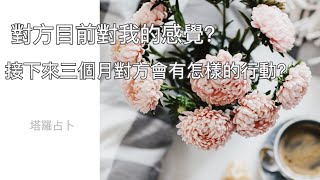 [Vicky塔羅占卜] 🔮 對方目前對我的感覺？接下來三個月對方會有怎樣的行動？