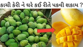 કાચી કેરી ને ઘરે કઈ રીતે પકવી શકાય | ઘરે ઝડપથી કાચી કેરી પકવવાની રીત | कच्चे आम को कैसे पकाएं