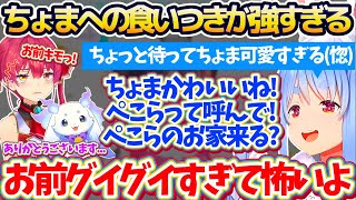 るんちょまの可愛さにメロメロになりグイグイ絡みに行った結果、あまりにも『ちょまへの食いつき』が強すぎてドン引きされるぺこらw【ホロライブ切り抜き/兎田ぺこら/宝鐘マリン/ルンルン/にじさんじ切り抜き】