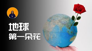 地球的第一朵花在何時何地綻放 | 花為何讓白堊紀詭異 | 早期哺乳動物 | 人類的起源 | 古生物 | 侏羅紀  | 白堊紀  |