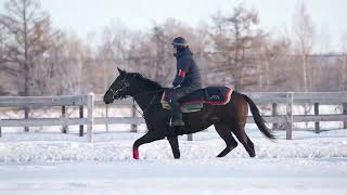 【2023年度[1歳馬]】 2 ラクレソニエールの2022