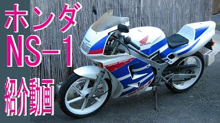 ホンダ NS-1 紹介動画　ヤフオクで購入激安不動車！　自分でレストアして復活