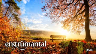 30 Minutes Beautiful Autumn with Emotional Instrumental Music