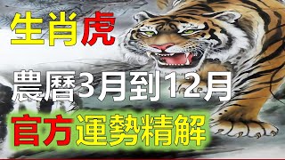 生肖（虎）2023年12生肖运势生肖（虎）農曆3月到12月，預測十二生肖生肖（虎）生肖運程