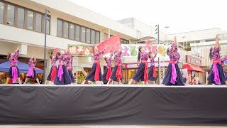 [4K] 河内飛鳥踊り子連「いち」　堺よさこいかえる祭り 2019