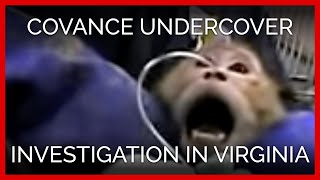 Covance—Undercover Investigation in Virginia