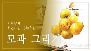 🍋처음부터 끝까지 알려주는 모과 그리기🍋