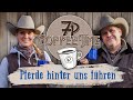 Warum müssen unsere Pferde hinter uns laufen? | 7P CoffeeTime ☕