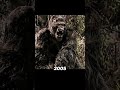 Evolution of KING KONG (1933 - 2024) #kingkong #kong #evolution #shorts