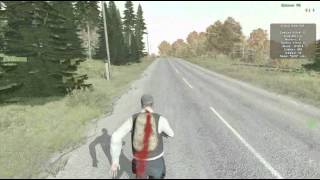 ArmA 2 DayZ Bug
