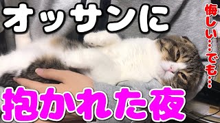 おっさんに抱かれた猫【スコティッシュフォールド】【Scottish Fold】