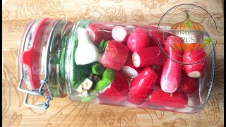 Pickled radishes in jar for the winter recipe What to do with excess radishes with radish Preserves