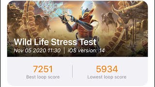 iPhone 11 Pro 3DMark Wild Life Stress Test v1.0.214