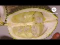 cara buat pulut durian dan tips masak pulut tidak berkerak