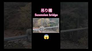 吊り橋気をつける！Passing bridge carefully