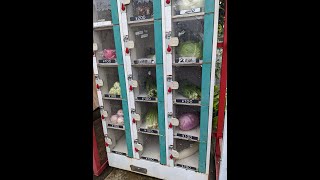 野菜果物自動販売機  コインロッカーを転用？ これは賢い