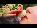 vca film and tv graduate screenings trailer 2011