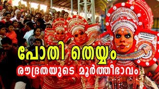 മലബാറുകാരുടെ പോതി തെയ്യത്തെക്കുറിച്ച് കേട്ടിട്ടുണ്ടോ? | Pothi Thira  The Ritual Tradition Of Malabar