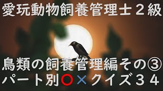 愛玩動物飼養管理士２級〇×クイズ”第Ⅶ編：動物の飼養管理(各論)_鳥類編”パート③