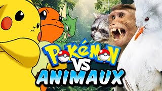 Pokémon VS Animaux : Qui ont Inspiré Les Pokémons ?