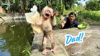 Monkey Kyo pees in her diaper and runs away in shame to find Dad – Full Version