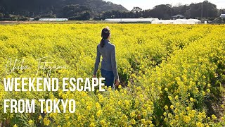 Japan Vlog: perfect weekend getaway from Tokyo, fresh seafood diner