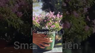 How To: Smart Garden  🌱💡