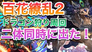 【パズドラ】チィリンドラゴンとシェヘラザードドラゴンを炭治郎で乱獲\u0026ガチャを少々【百花繚乱2】PerigamesVol.248