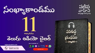 Numbers 11    సంఖ్యాకాండము   Sajeeva Vahini Telugu Audio Bible