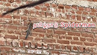 விலங்கு வேடிக்கையான தருணம் ll animal funny moment part 2