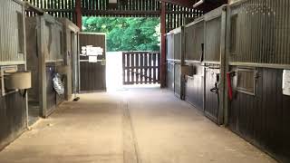 Myerscough College Equine Facilties Tour