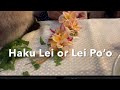 Haku lei or lei po’o (flower crown) making