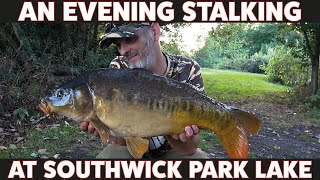 Stalking at Southwick Park Lake - Summer Carp Fishing